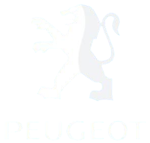 9bfe8c0f25084fa00a57b8a370c0ba9a-Photoroom (1)